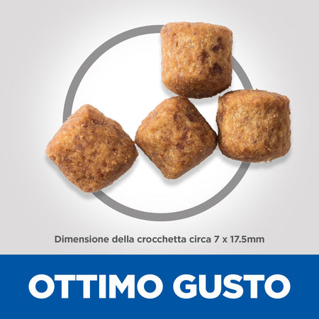 Hill's Light secco Cani Adulti Large pollo 12 kg