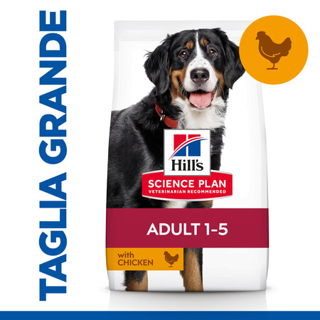 Hill's Mantenimento secco Cani Adulti Large pollo