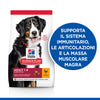 Hill's Mantenimento secco Cani Adulti Large pollo