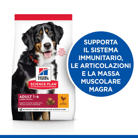 Hill's Mantenimento secco Cani Adulti Large pollo