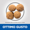 Hill's Mantenimento secco Cani Adulti Large pollo