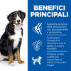 Hill's Mantenimento secco Cani Adulti Large pollo