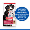 Hill's Mantenimento secco Cani Adulti Large agnello e riso 12 kg