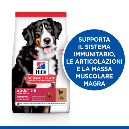 Hill's Mantenimento secco Cani Adulti Large agnello e riso 12 kg