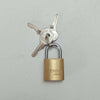 FF Group 20mm Hugo Locks SB lucchetto di ottone modello ad arco