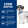 Hill's Prescription Diet Metabolic+Mobility secco Cani Adulti Mini pollo