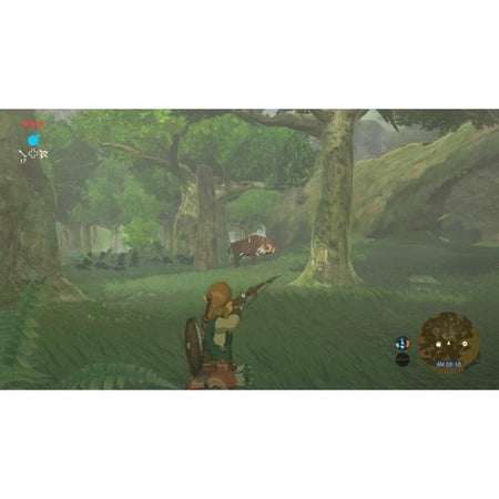 The Legend of Zelda gioco interruttore