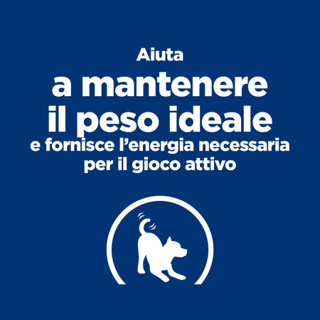 Hill's Prescription Diet Metabolic+Mobility secco Cani Adulti Mini pollo