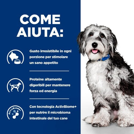 Hill's Prescription Diet ON-Care Spezzatino per Cani Adulti 354gr