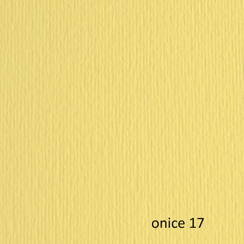 Blister 20Fg Cartoncino 50X70 220Gr Onice 117 Fabriano Elle Erre