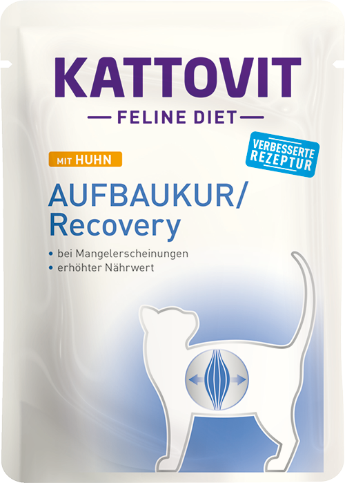 Kattovit Feline Diet Recovery Pollo 85gr