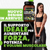 Product Image-4