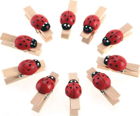 48PZ. MOLLETTA COCCINELLA LEGNO NATURALE BOMBONIERE BIGLIETTI LAUREA COMPLEANNO Casa e cucina/Hobby creativi/Materiali per hobby creativi/Forniture per feste/Bomboniere Trade Shop italia - Napoli, Commerciovirtuoso.it