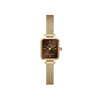 Daniel Wellington - OROLOGIO QUADRO MINI EVERGOLD GOLD AMBER