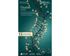 Catena lineare a LED luce calda con 8 funzioni luminose da 27 metri