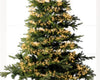 Catena luminosa a LED con 8 funzioni, effetto Twinkle da 300 cm, bianco caldo