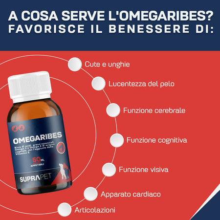 omegaRibes-3