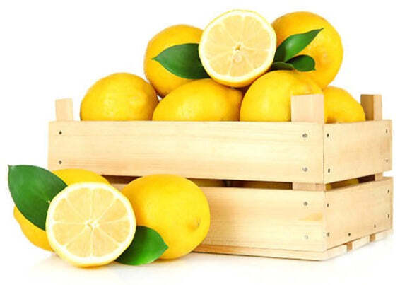 5/10 Kg. Limoni 100% Siciliani Raccolti a Mano Limone Primo Fiore di Sicilia