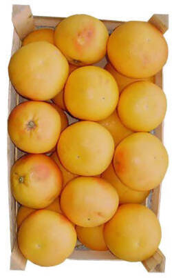 5/10Kg Cassetta di Pompelmi Gialli e Rosa Siciliani Pompelmo 100% Origine Sicilia