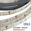 5 METRI STRIP STRISCIA 300 LED 3014 SMD PER ESTERNO IP65 12 V DC CALDO FREDDO Illuminazione/Strisce LED Trade Shop italia - Napoli, Commerciovirtuoso.it