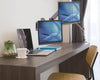 Staffa a Muro con Molla a Gas per due Monitor 17-32''