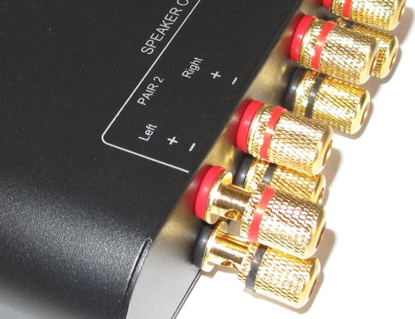 Commutatore audio per casse acustiche 2 vie con Terminali a banana
