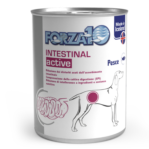 Forza 10 Active Cane Intestinal Pesce 390 gr