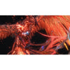 Game Final Fantasy XVI PS5