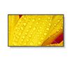 Nec multisync m551-2 design chiosco 127 cm (50\) led 4k ultra hd nero processore integrato - 60006085