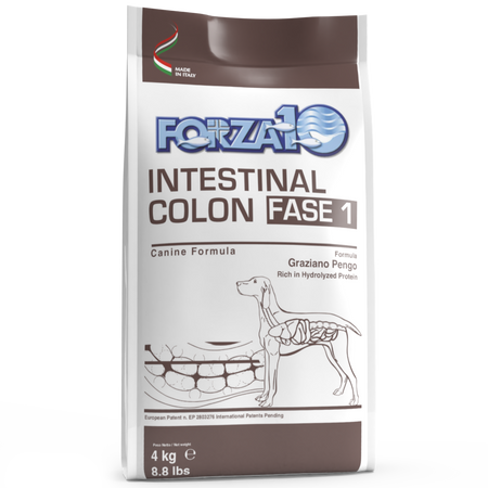 Forza 10 Active Cane Intestinal Colon Fase 1