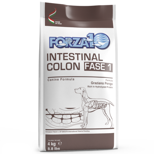 Forza 10 Active Cane Intestinal Colon Fase 1