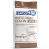 Forza 10 Active Cane Intestinal Colon Fase 2