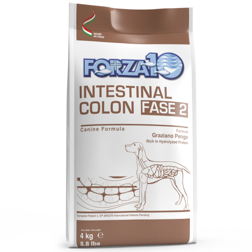 Forza 10 Active Cane Intestinal Colon Fase 2