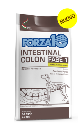Forza 10 Active Cane Intestinal Colon Fase 1 con Agnello e Sorgo bianco