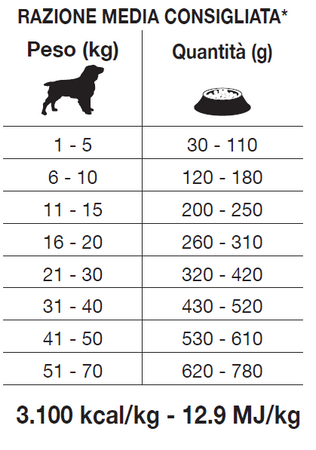 Forza 10 Active Cane Gastroenteric