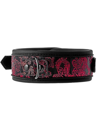 Blaze - Collare + Guinzaglio Drago Nylon Nero Rosso