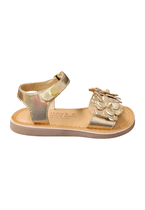 Scarpe sandalo Bambine e ragazze GIOSEPPO SHEGAN