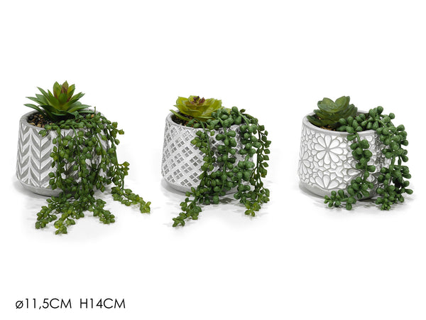 Vaso con Pianta Grassa Ø11,5x14cm 3 Assortimenti