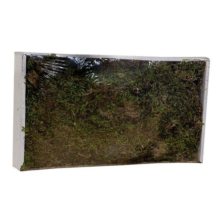 Muschio in scatola secco tappeto naturale per presepe 550 gr decorazione natalizia