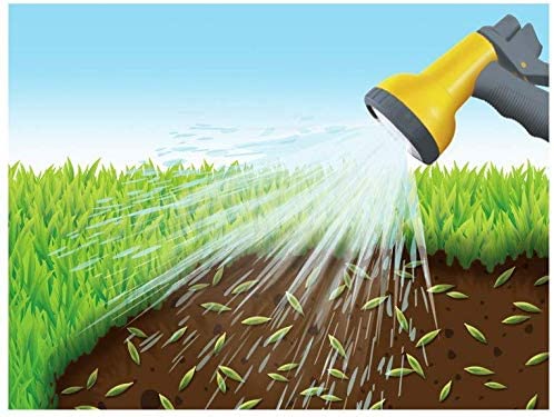 Seme "Prato al Sole" tappeto erboso per terreni secchi ed esposti al sole