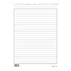 100 Schede Rigate Verticale 24X17Cm E3393Bl Edipro