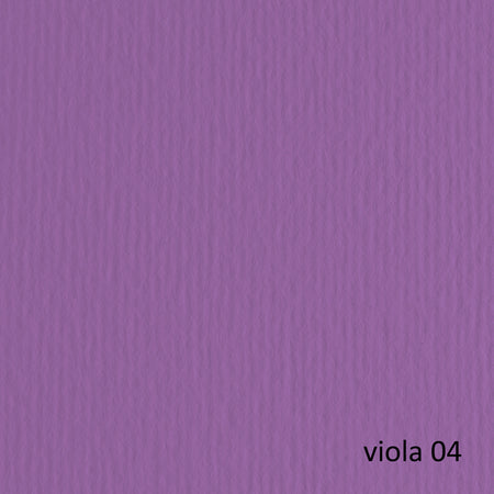 Blister 20Fg Cartoncino 50X70 220Gr Viola 104 Fabriano Elle Erre