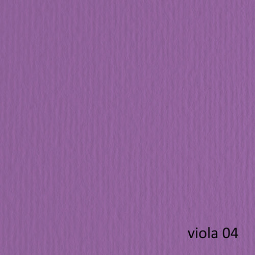 Blister 10Fg Cartoncino 70X100 220Gr Viola 104 Fabriano Elle Erre