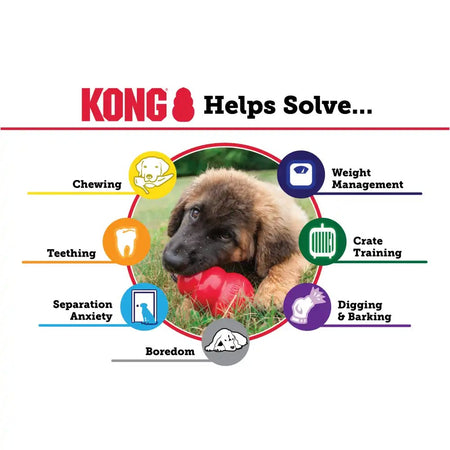 Kong Puppy Gioco Interattivo per Cani