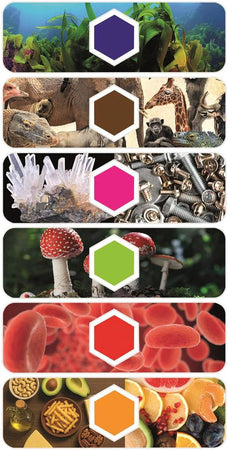 Clementoni - Scienza e Gioco Microscopio smart AI 19387