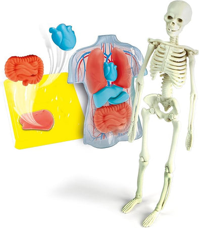 Clementoni Scienza e Gioco Lab - Anatomia Scheletro e Organi 19414