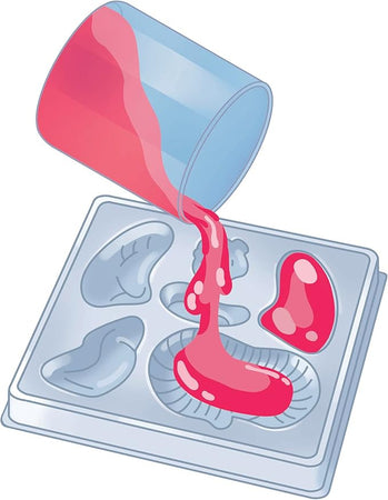 Clementoni Scienza e Gioco Lab - Anatomia Scheletro e Organi 19414
