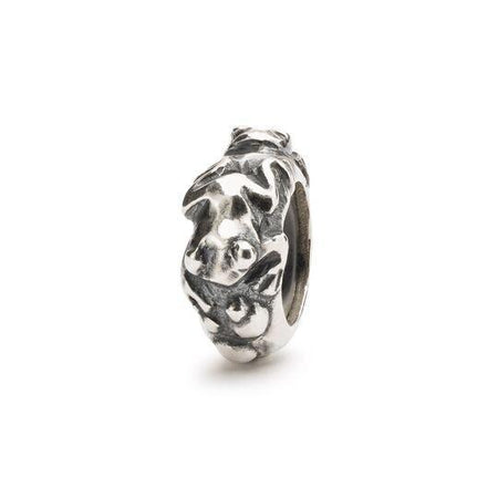 Stop Evoluzione-Trollbeads