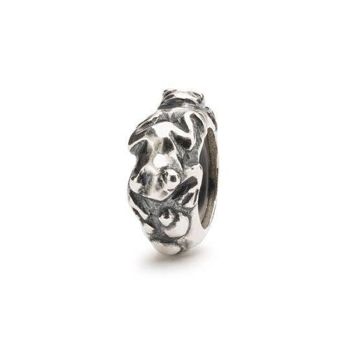 Stop Evoluzione-Trollbeads
