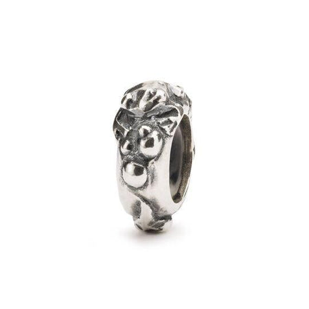 Stop Evoluzione-Trollbeads